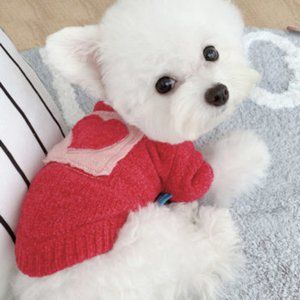 Love You Cute Winter Sweater for dogs